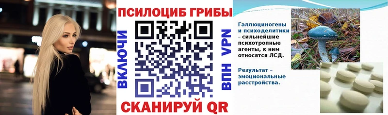 Псилоцибиновые грибы Psilocybine cubensis  Купить закладки  Кораблино 